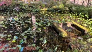 だるま３マガジン