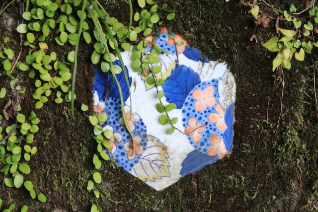 だるま３マガジン