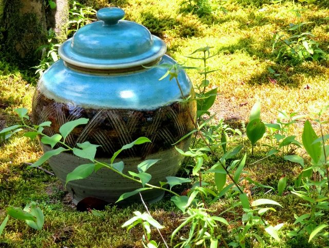 だるま３マガジン
