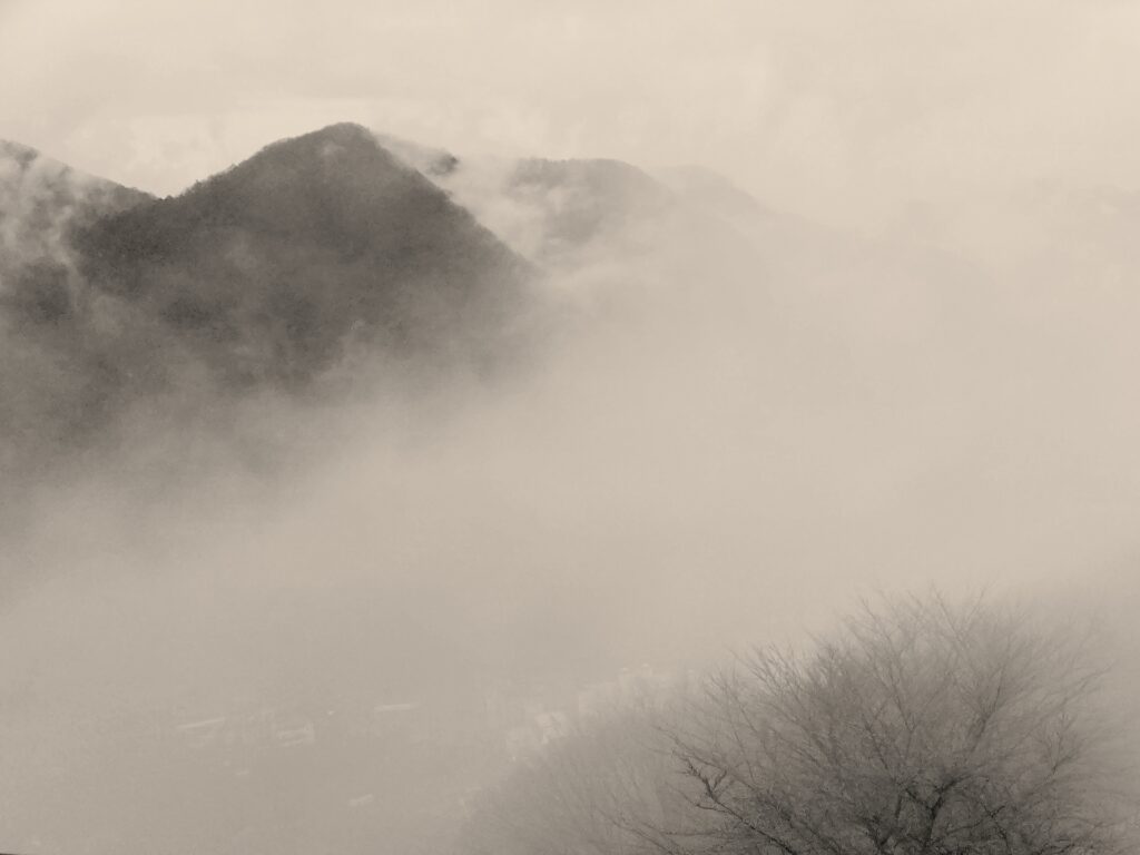 八大山人とは？掛け軸で見る中国文人画の名匠の魅力と代表作のアイキャッチ画像。