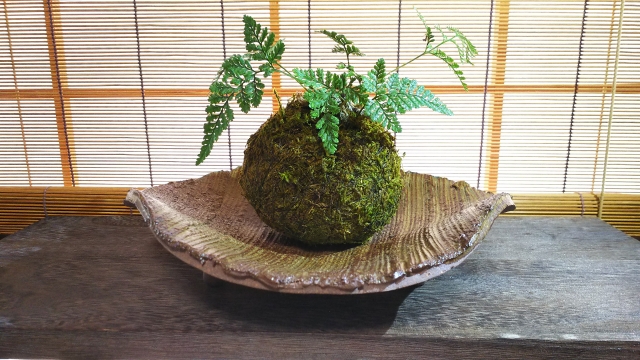 だるま３マガジン