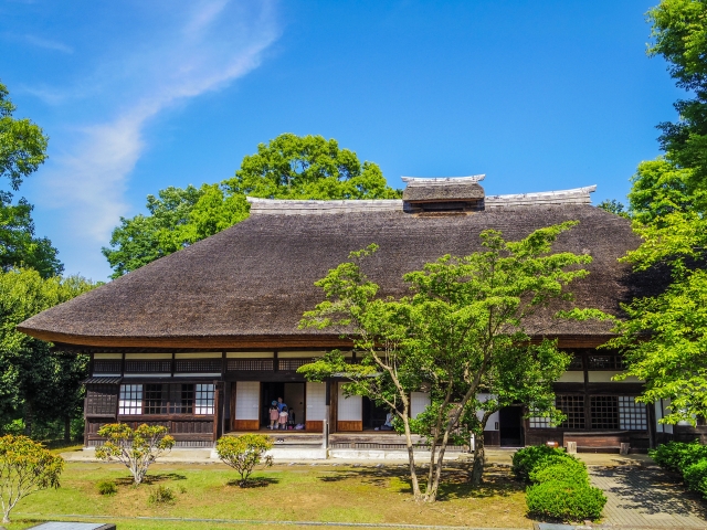 だるま３マガジン