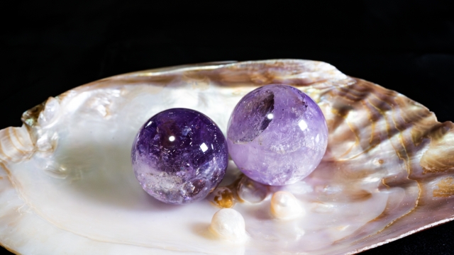 だるま３マガジン