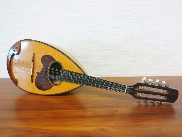 だるま３マガジン