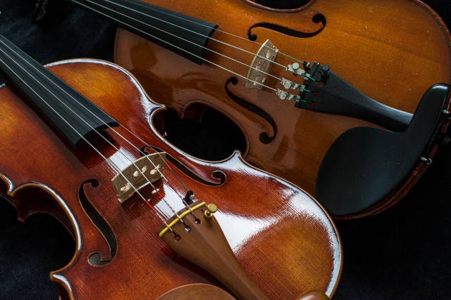 だるま３マガジン