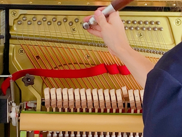 だるま３マガジン