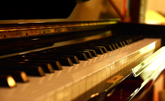 だるま３マガジン