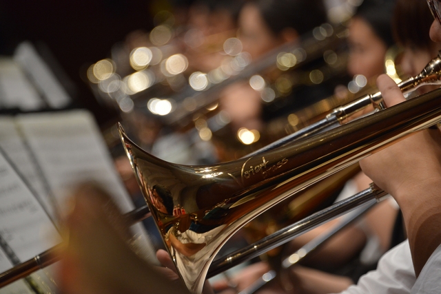 だるま３マガジン