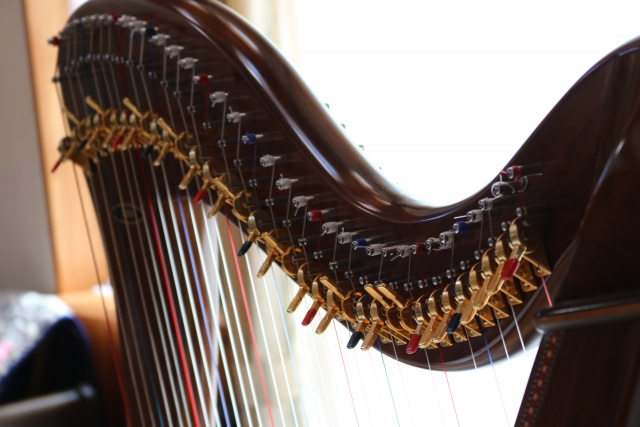 だるま３マガジン