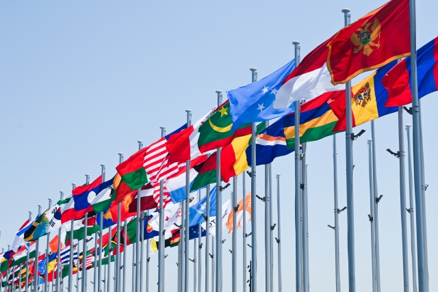 だるま３マガジン