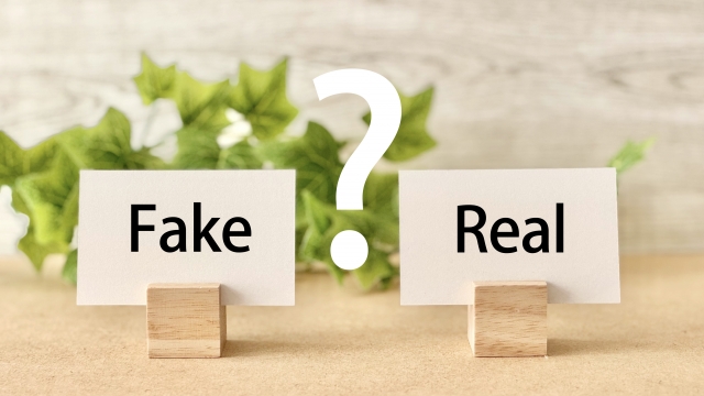 だるま３マガジン