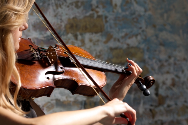 だるま３マガジン