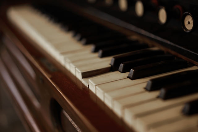 だるま３マガジン