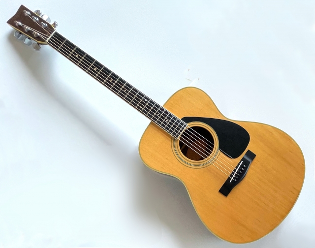 だるま３マガジン