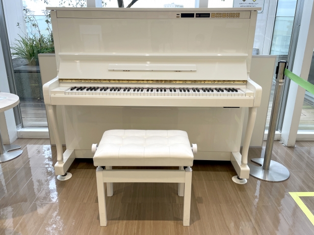 だるま３マガジン