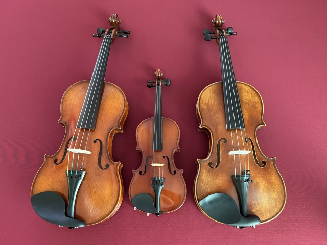 だるま３マガジン