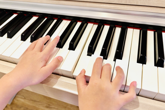 だるま３マガジン