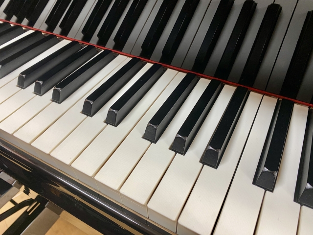 だるま３マガジン