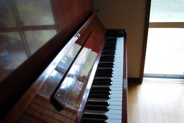 だるま３マガジン