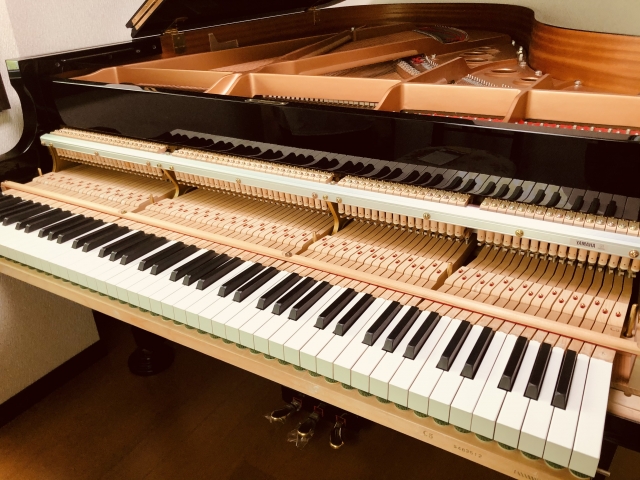 だるま３マガジン