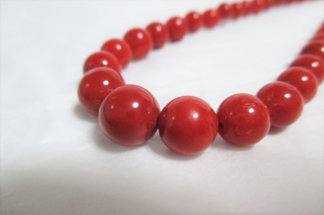 だるま３マガジン