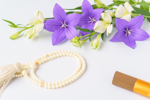 だるま３マガジン