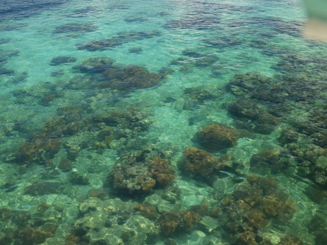 だるま３マガジン