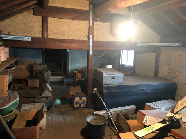 だるま３マガジン