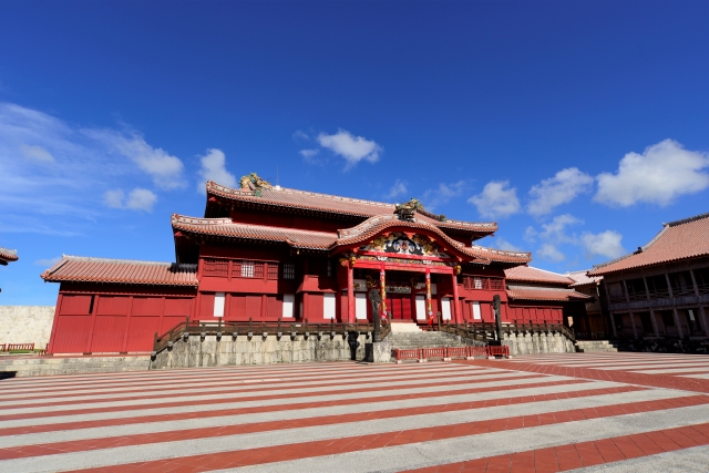 だるま３マガジン